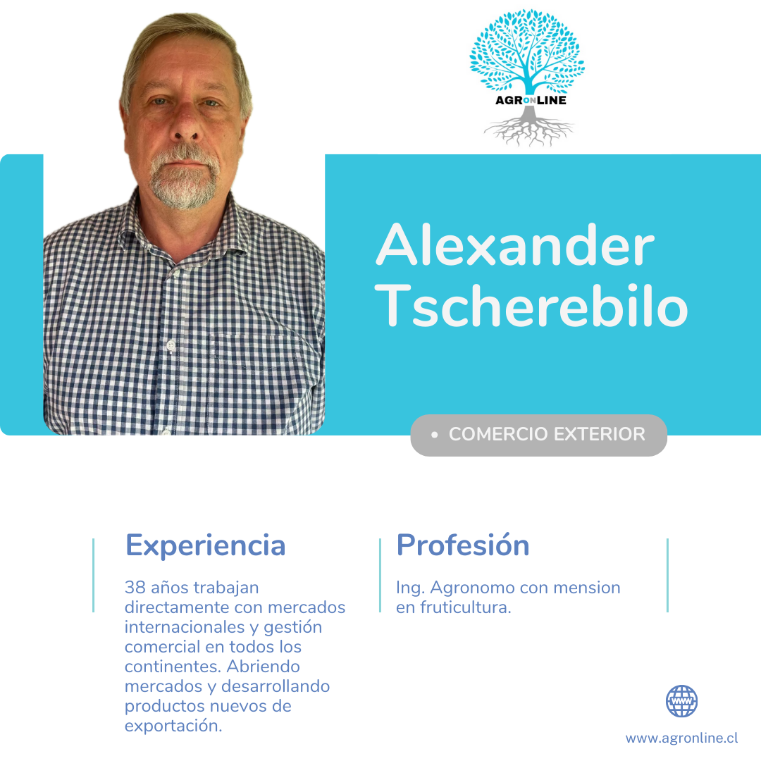 Alexander Tscherebilo