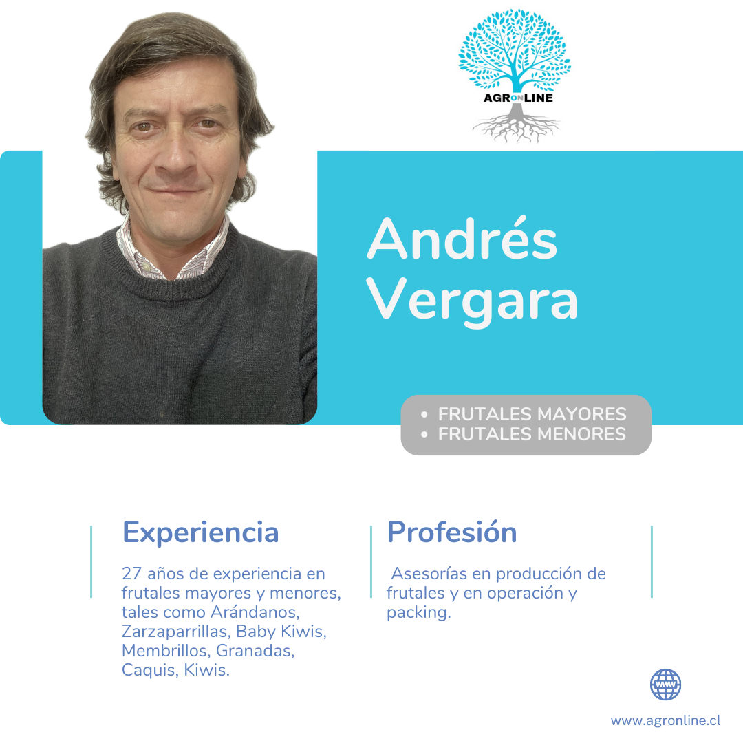 Andrés Vergara