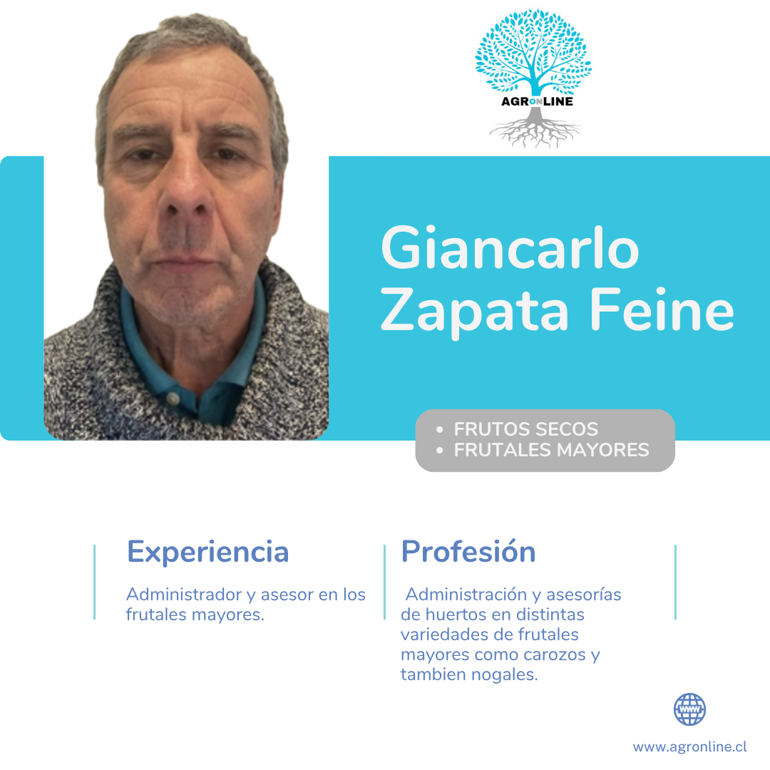 Giancarlo Zapata Feine