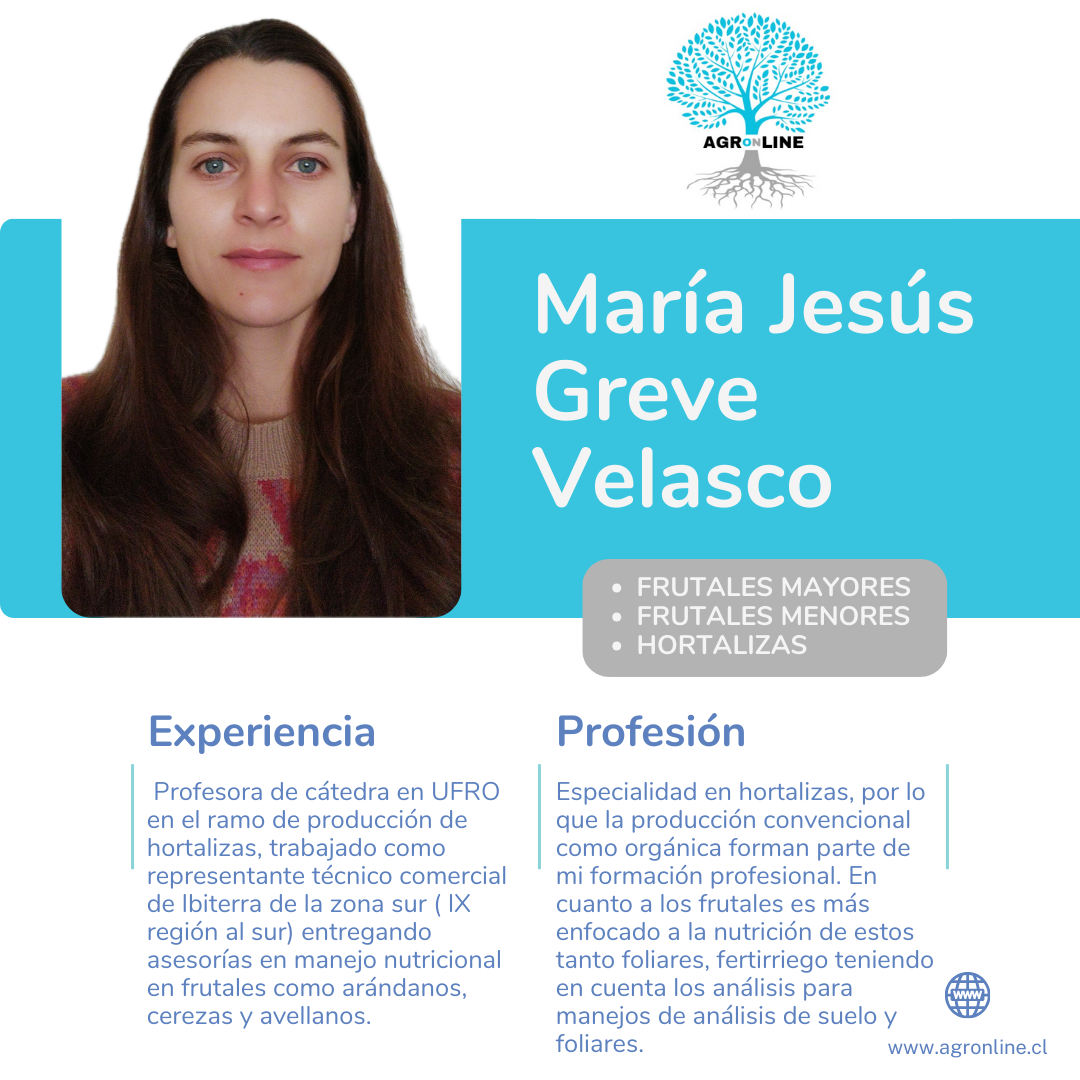María Jesús Greve Velasco