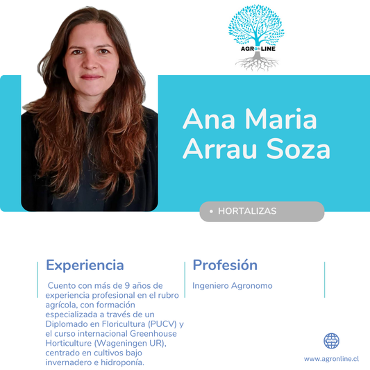 Ana Maria Arrau Soza