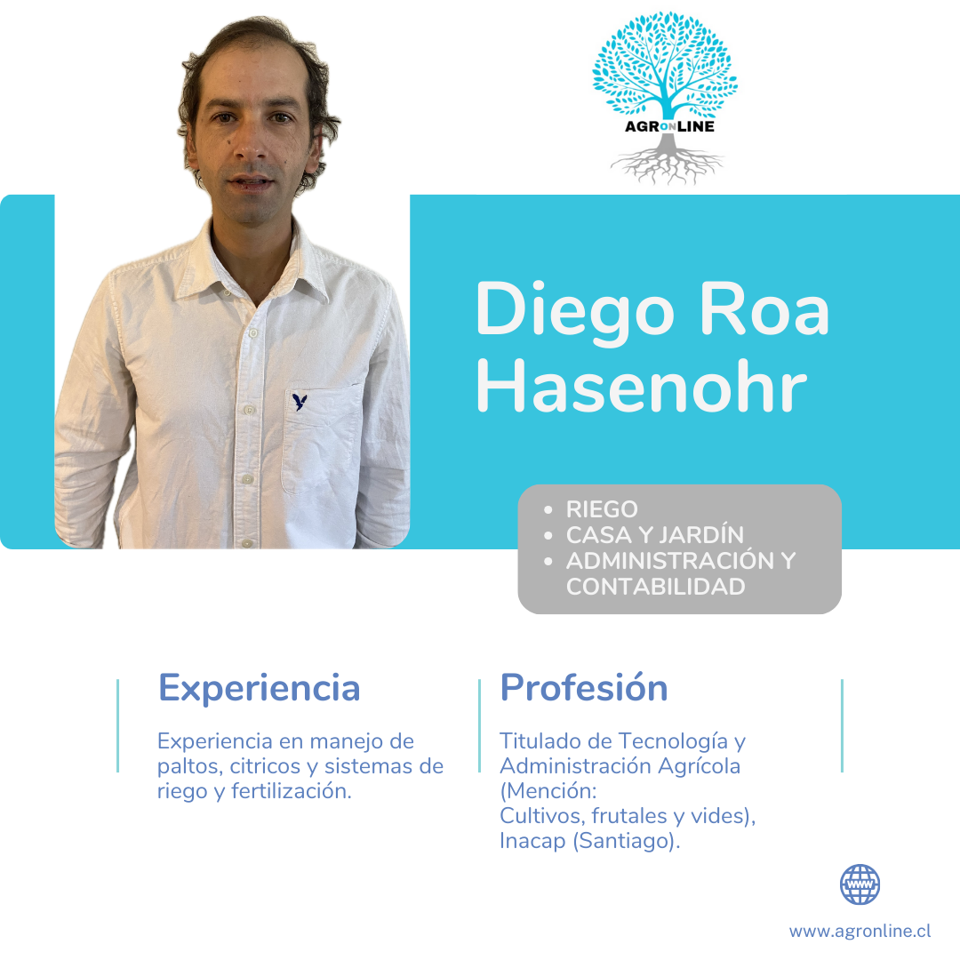 Diego Roa Hasenohr