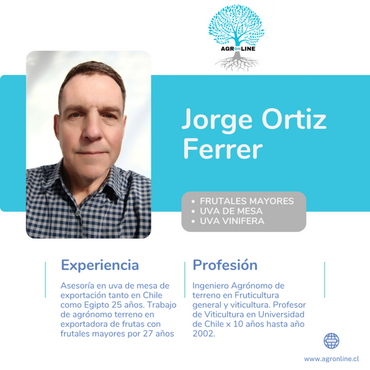 Jorge Ortiz Ferrer