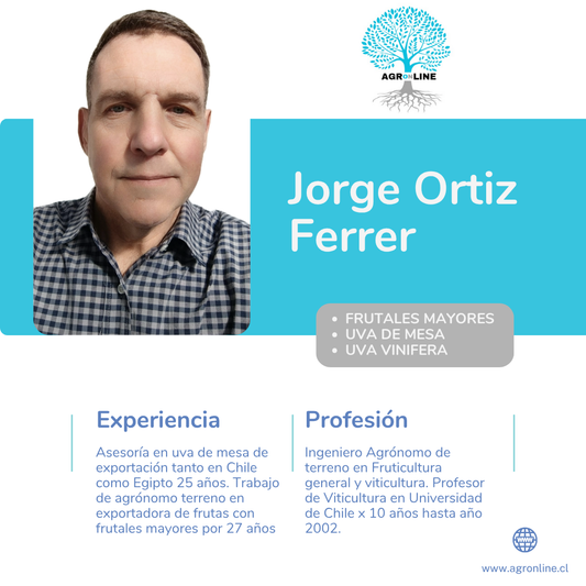Jorge Ortiz Ferrer