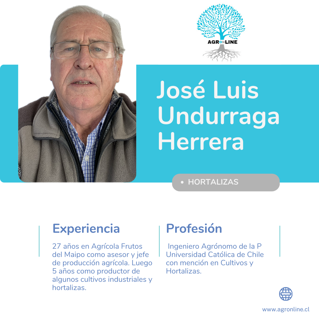 José Luis Undurraga Herrera