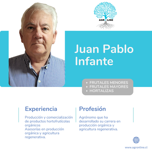 Juan Pablo Infante